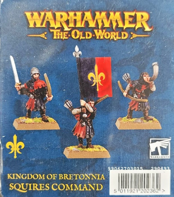 Squires Command Kingdom of Bretonnia Warhammer Old World WBGames – War ...