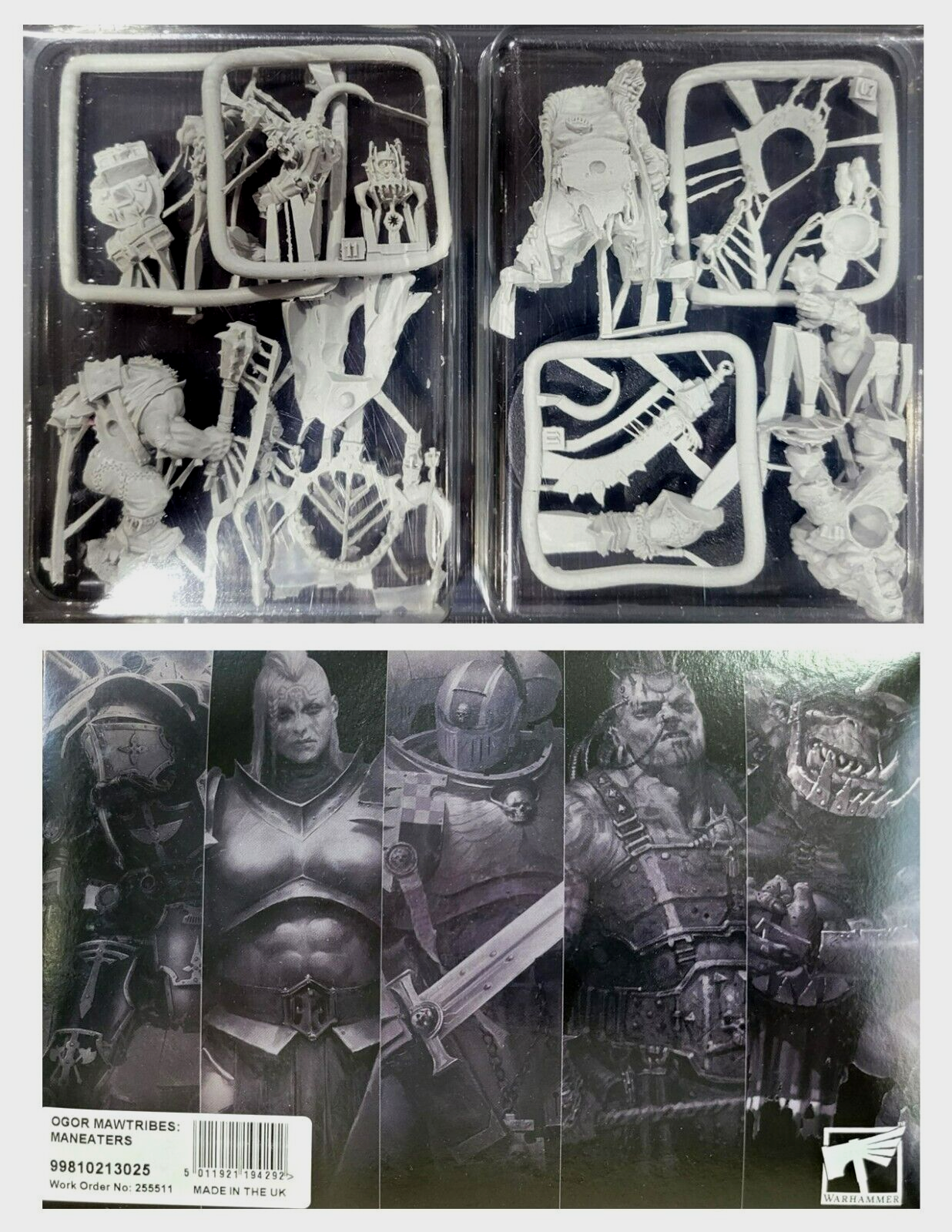 Maneaters Ogor Mawtribes  Warhammer Age of Sigmar Fantasy